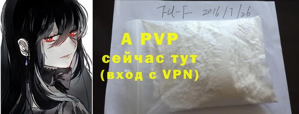 дурь Рославль