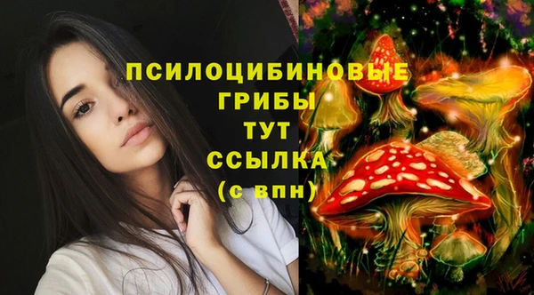 jwh Армянск