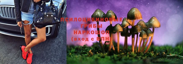 2c-b Алексин