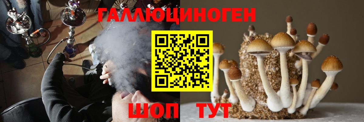 Ахтубинск  Псилоцибиновые грибы Cubensis  даркнет сайт  Вход с VPN  Псилоцибиновые грибы прущие грибы 