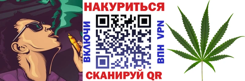 Конопля семена  как найти   Ахтубинск 